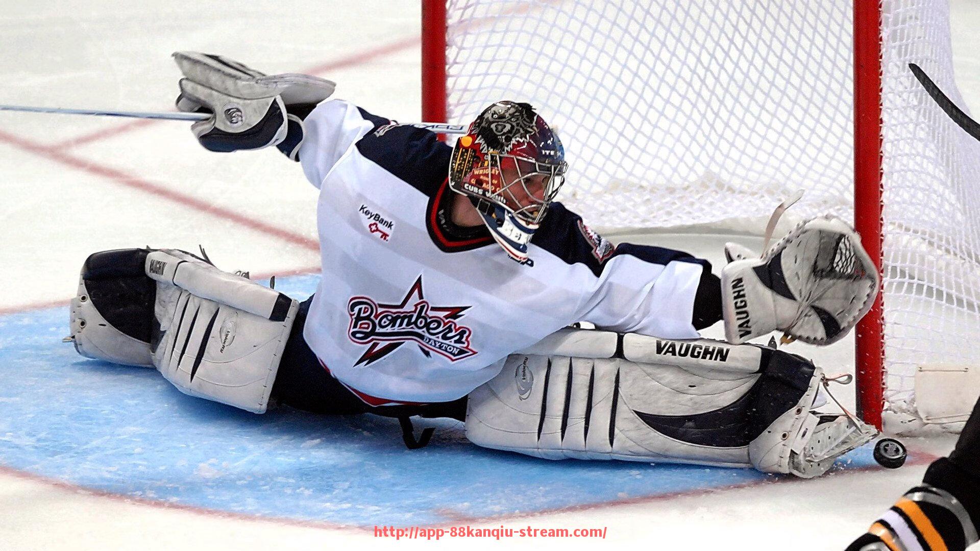 88看球网-舒华健身器材标志介绍及防伪识别方法